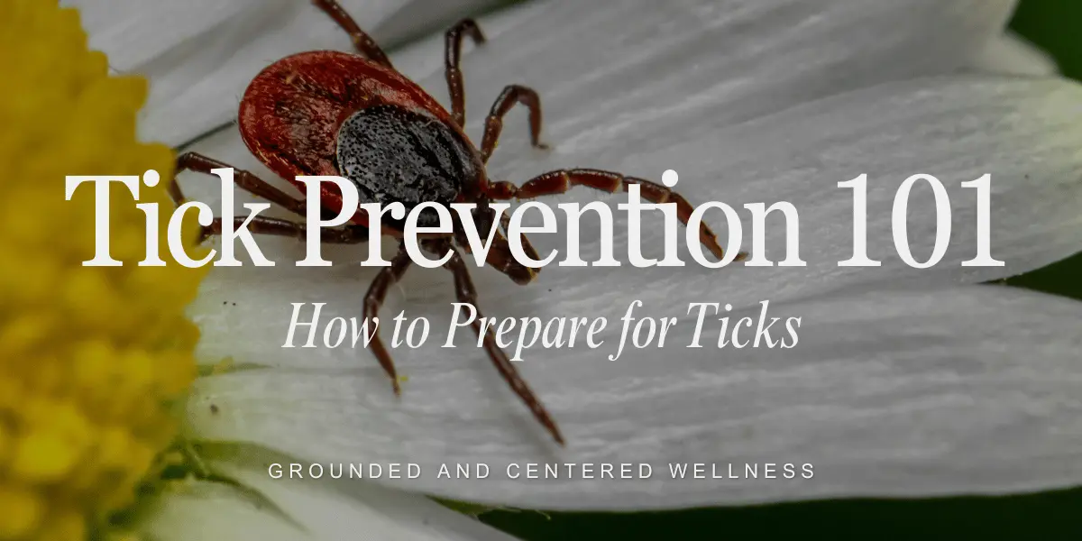 Want to Prevent Ticks? Here's How